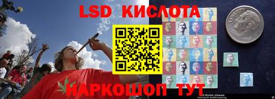 индика Камышлов