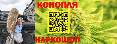 индика Камышлов