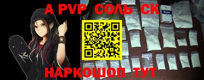 индика Камышлов