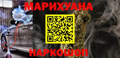 индика Камышлов
