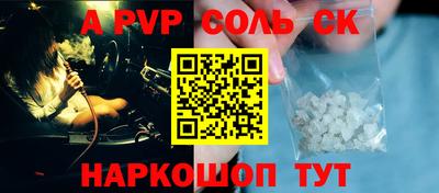 индика Камышлов