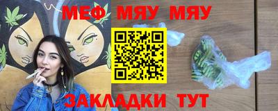 индика Камышлов