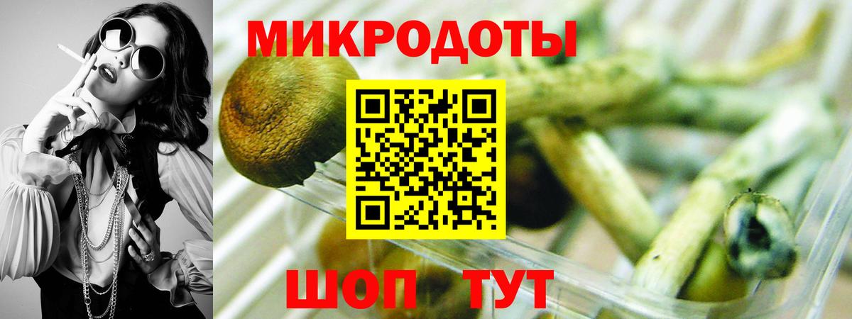 Псилоцибиновые грибы Psilocybe  Вход с VPN  Шебекино 